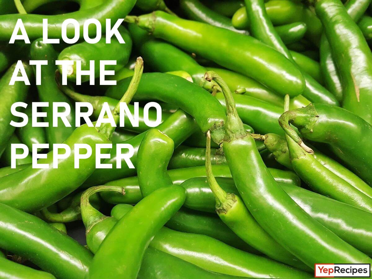 The Fiery World of Serrano Peppers dlvr.it/T5h9dq