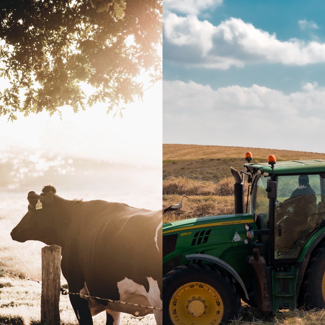 omar_dakane's tweet image. We need to get tech in the farm this 2024.

What tech would you look most forward to in your farm this year?

#FarmingTech #YouthInAgriculture