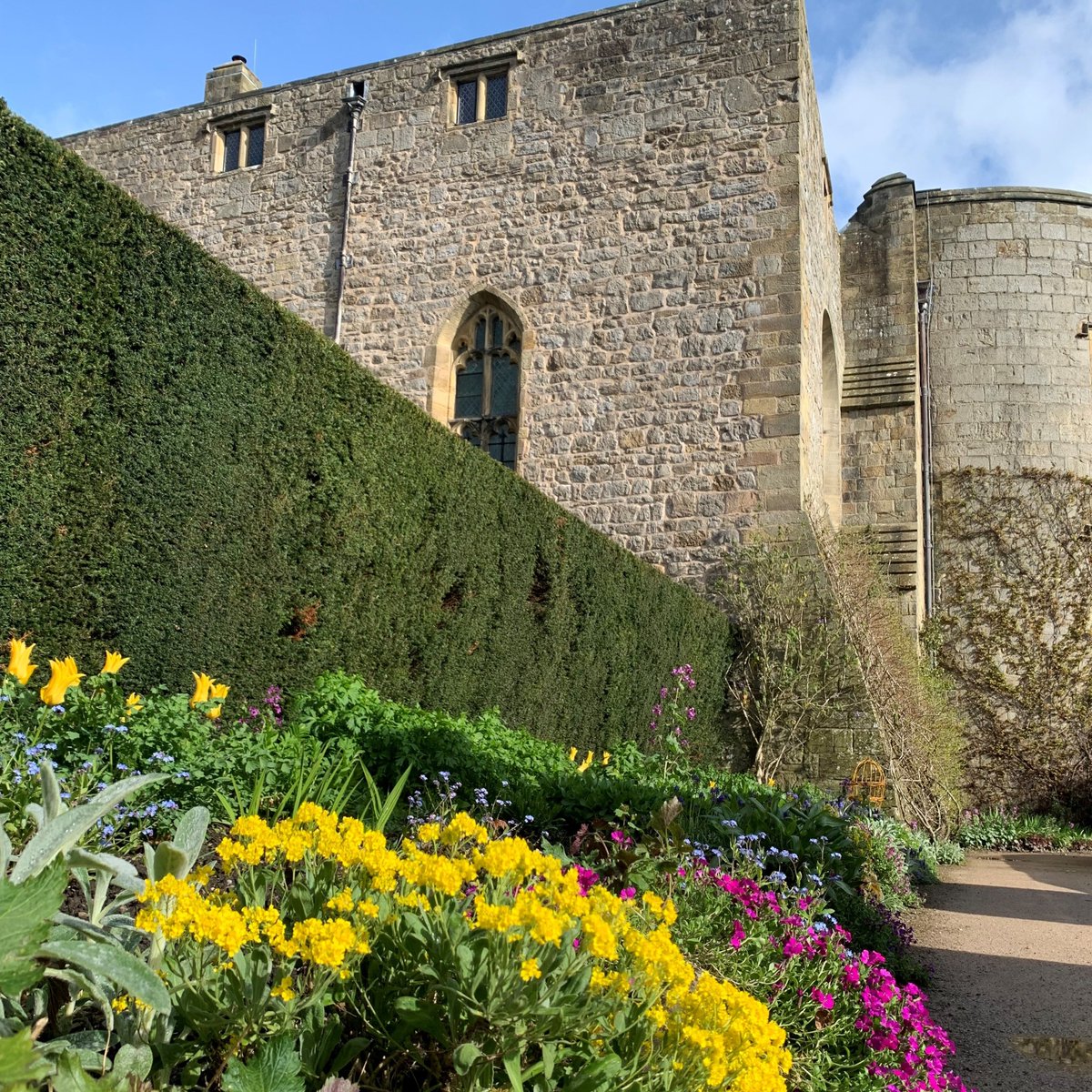 Spring is well and truly making its appearance in the gardens at Chirk Castle. From vibrant rhododendrons, azaleas and camellias to magnolias, cherry blossom and bluebells, there’s something for everyone. Details here: bit.ly/3PdxpXS #BlossomWatch #ChirkCastle #Spring