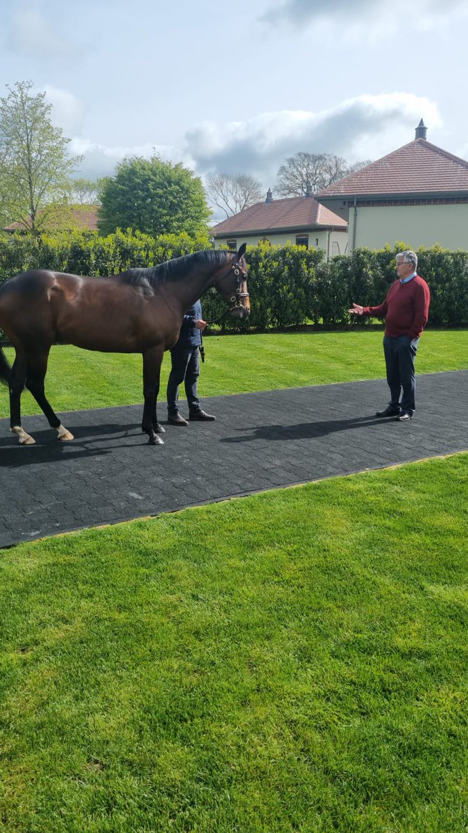 Maurice Camacho checking in on Shaquille 😍 @dullingham_park