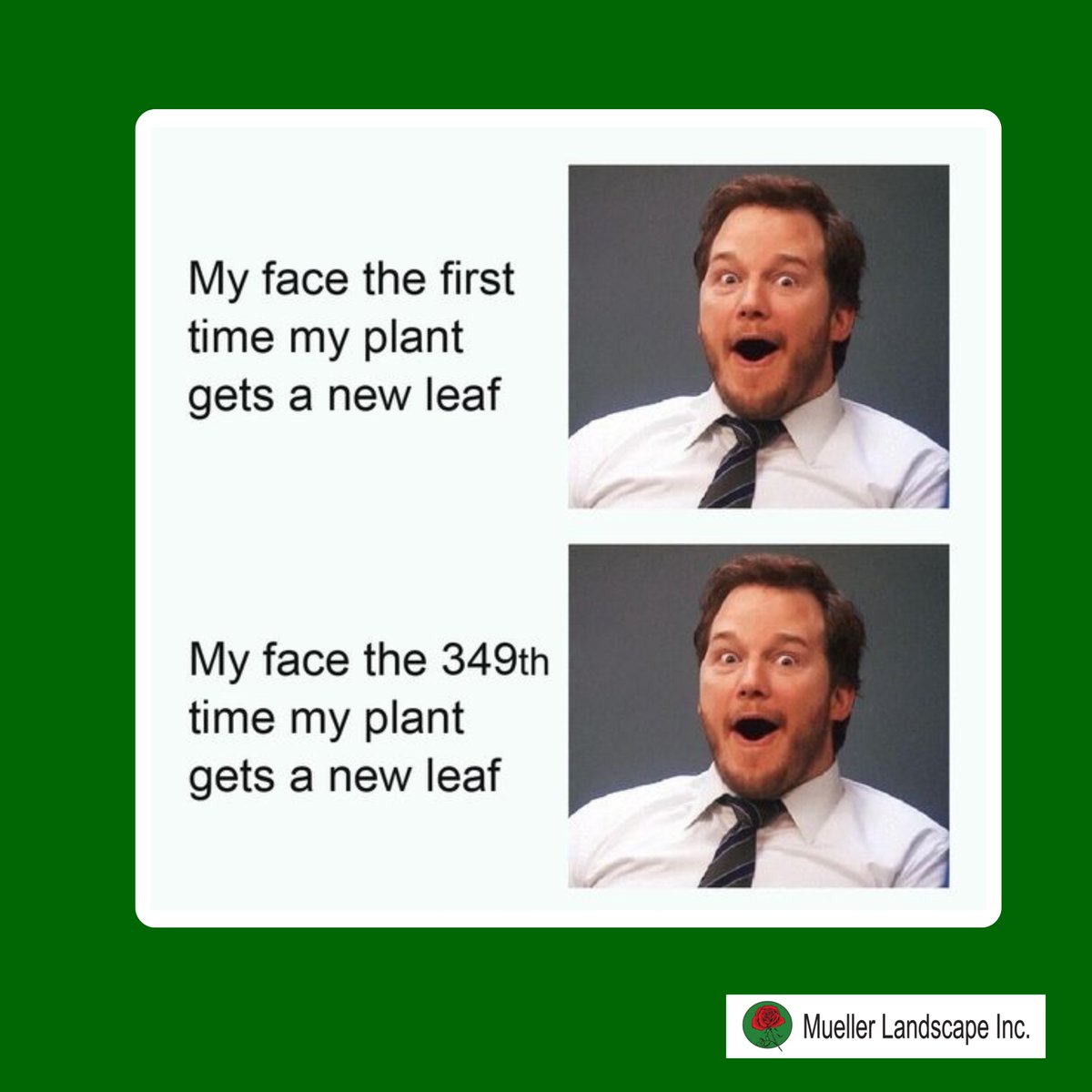 One can simply never be excited enough. 😂

#Gardening #Gardeningservices #LandscapeDesign #GardeningGoals #OutdoorLiving #GreenThumbLife #YardInspiration #PlantLifeLove #GardeningJoke #GardeningMeme