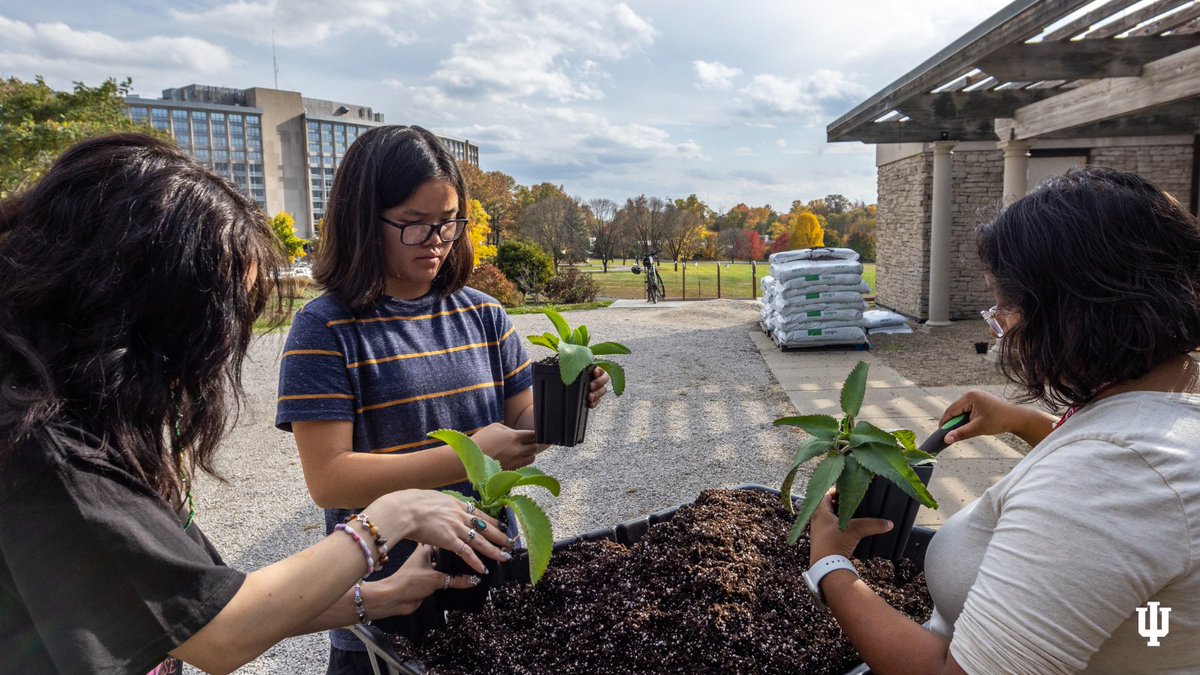 Interested in sustainability? Reaching across ten schools within Indiana University, the Integrated Program in the Environment is the hub for all environmental and sustainability-related programming on IU-Bloomington's campus. Get involved: environment.indiana.edu