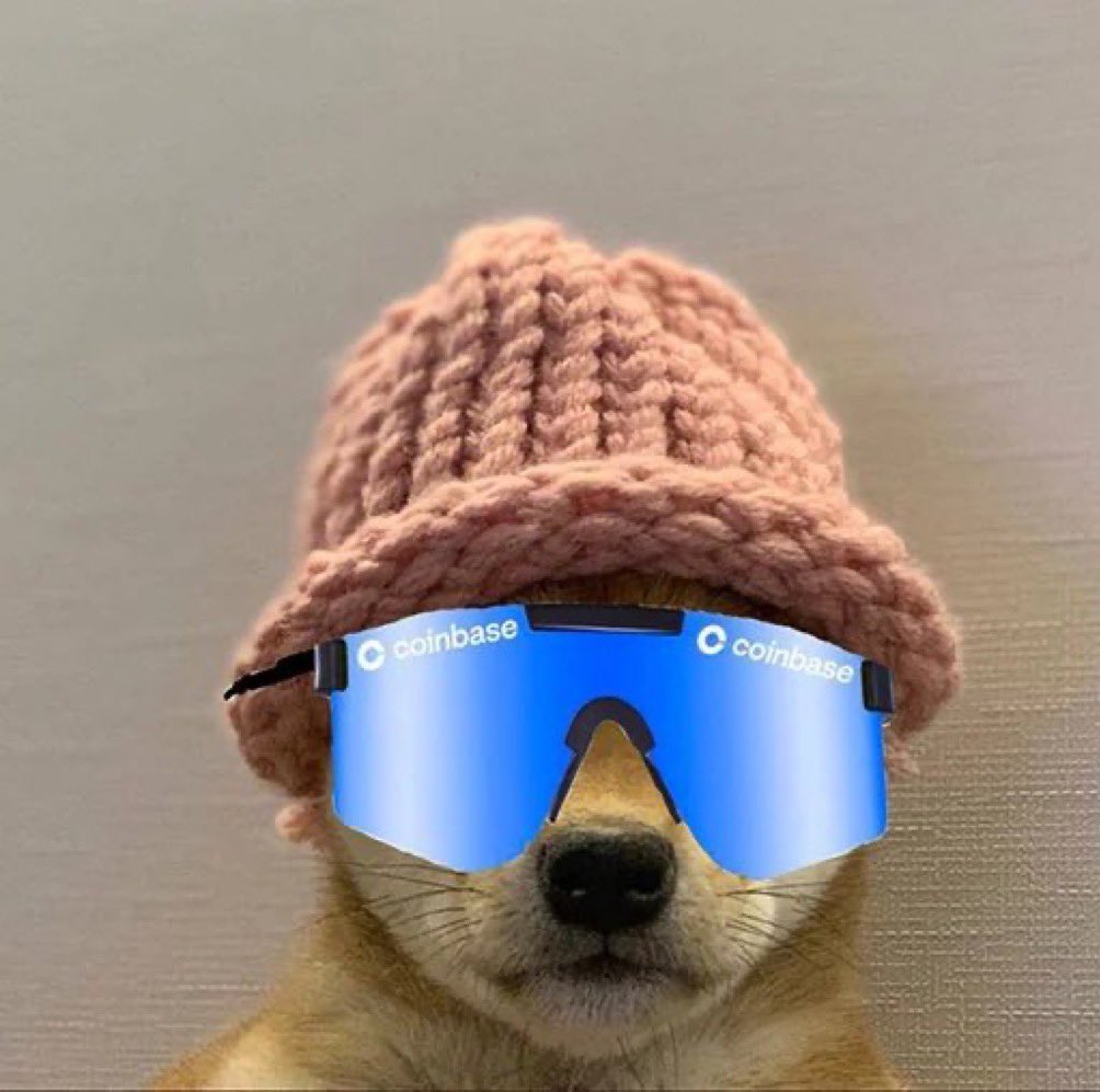 dogwifcoin's tweet photo. $WIF Coinbase https://t.co/aIv0VTnImD