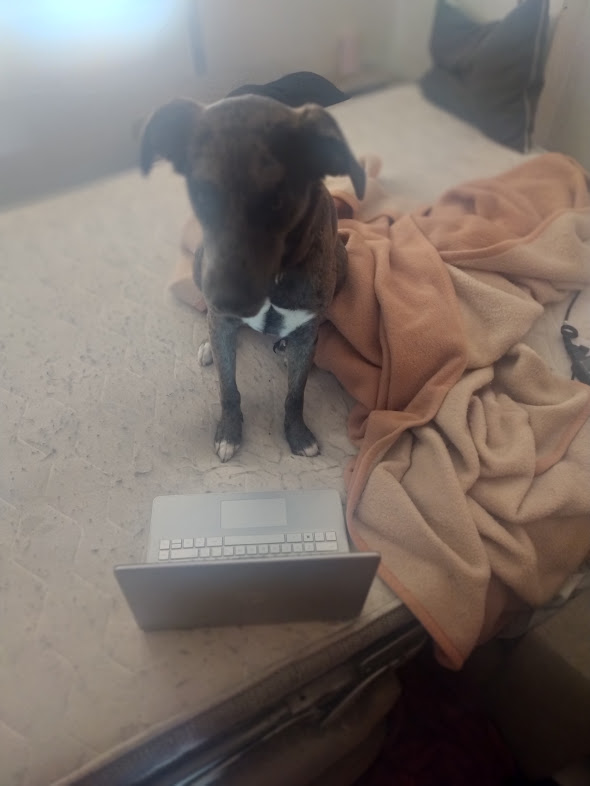 Who pulled this off better ?
Shaggy ?
or Lucy ?

(<a href="/ashleyrclark1/">Ash@ErsRemovalservicesltd</a> )