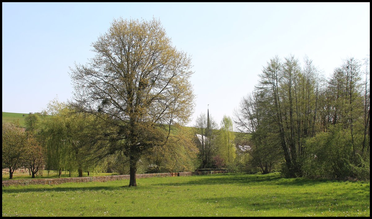 Sarthe V'la le printemps ! #Lavenay #Sarthe #laSarthe #sarthetourisme #labellesarthe #labelsarthe #Maine #paysdelaloire #paysage #nature #campagne #rural #ruralité #gondard #route #road #OnTheRoadAgain #graphique #arbres