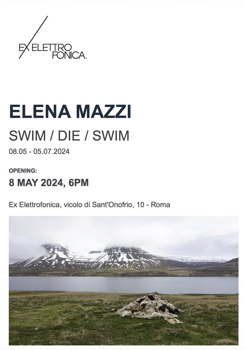 On Wednesday, 8 May 2024, Ex Elettrofonica is pleased to inaugurate Elena Mazzi’s second solo show at the gallery, titled Swim / Die / Swim. #elenamazzi #contemporaryart #romecontemporaryart