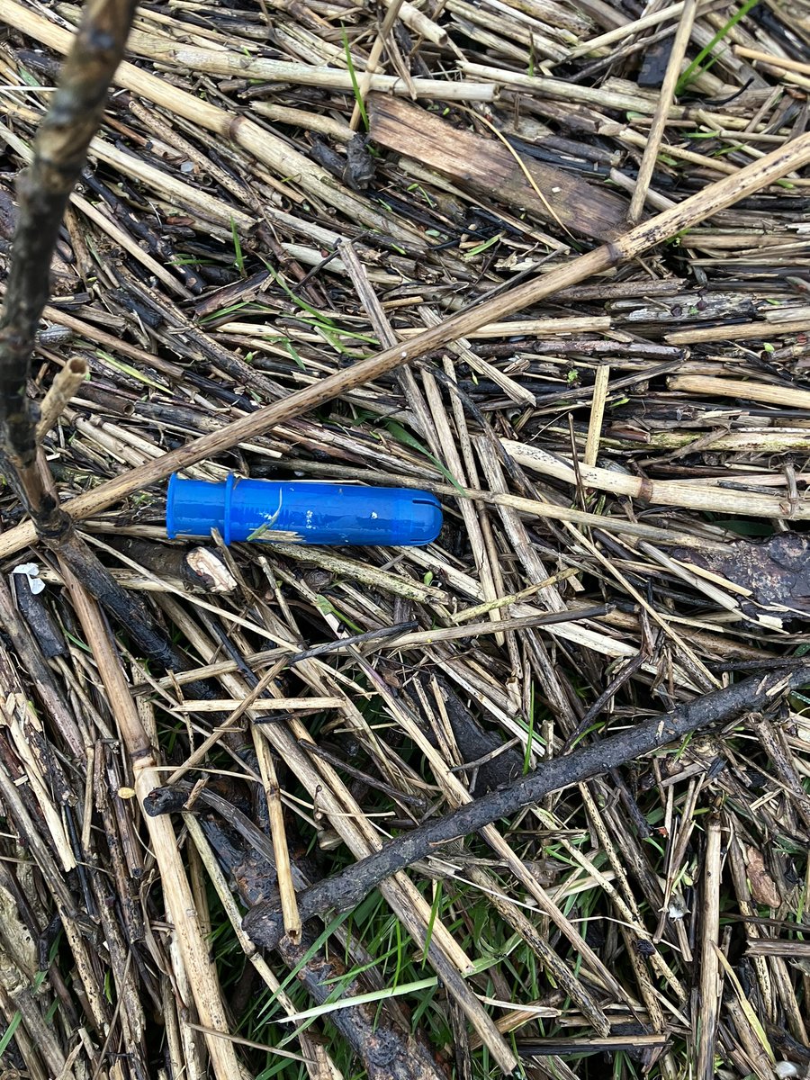 Walked the wrack line with the main man after recent high tides. Sewage litter everywhere. Disgusting. Explaining what the blue plastic things are was easy. But, answering a 7 year olds 2nd question of “why are things that go down a toilet in the river, Dad?” was more tricky.