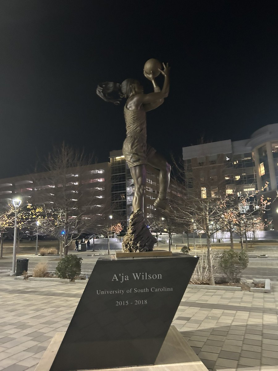 Well if 'NOBODY knows A'ja Wilson' then why does she have a fucking statue?