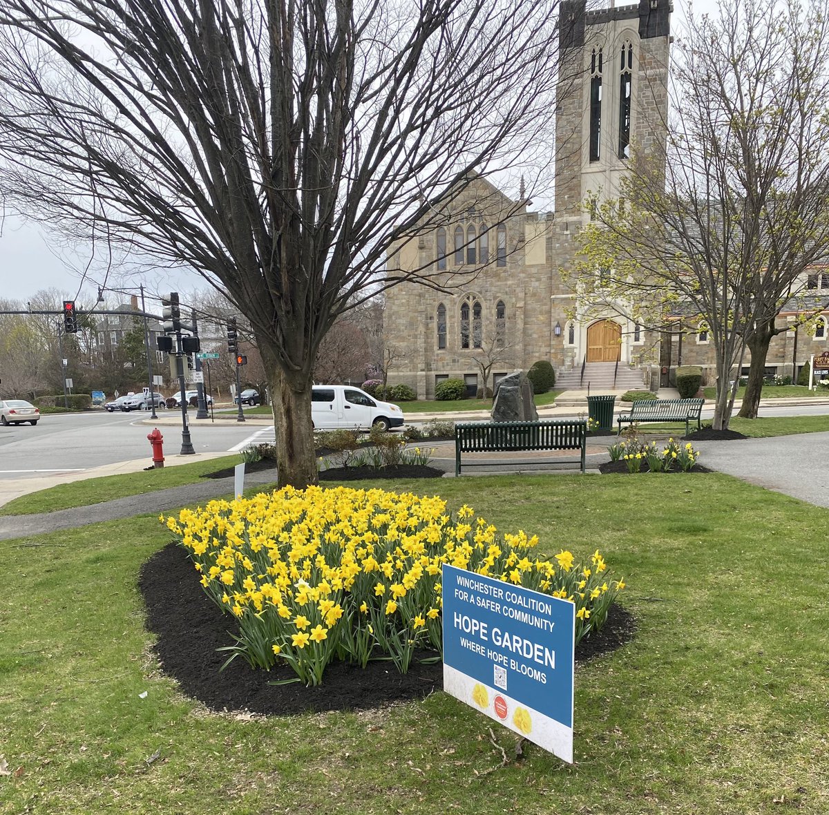 Look at our Hope Garden in bloom!