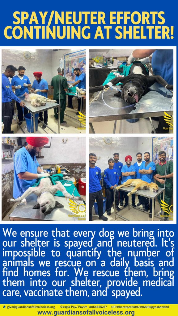 GuardiansVoice's tweet photo. Spay and neuter!

Complete story (Facebook):

https://t.co/6NulkjOBzb

Complete story (Instagram):

https://t.co/Bvq0cyVcl8 https://t.co/3zSl34BM8N