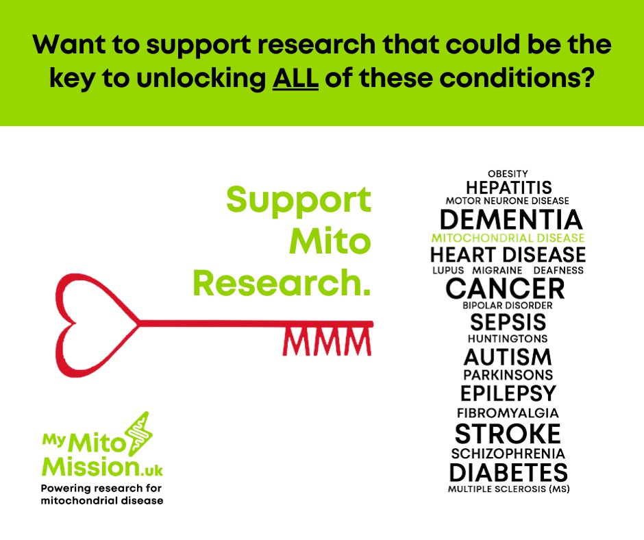 🗝️ Support mitochondrial research - support research into ALL of these conditions + more...

👨‍💻 Head to our website to find out more:
mymitomission.uk

#mitochondrialdisease #mymitomission #mitochondria #mitomatterstomillions #mitoaware #mitoresearch #mitochondrialresearch