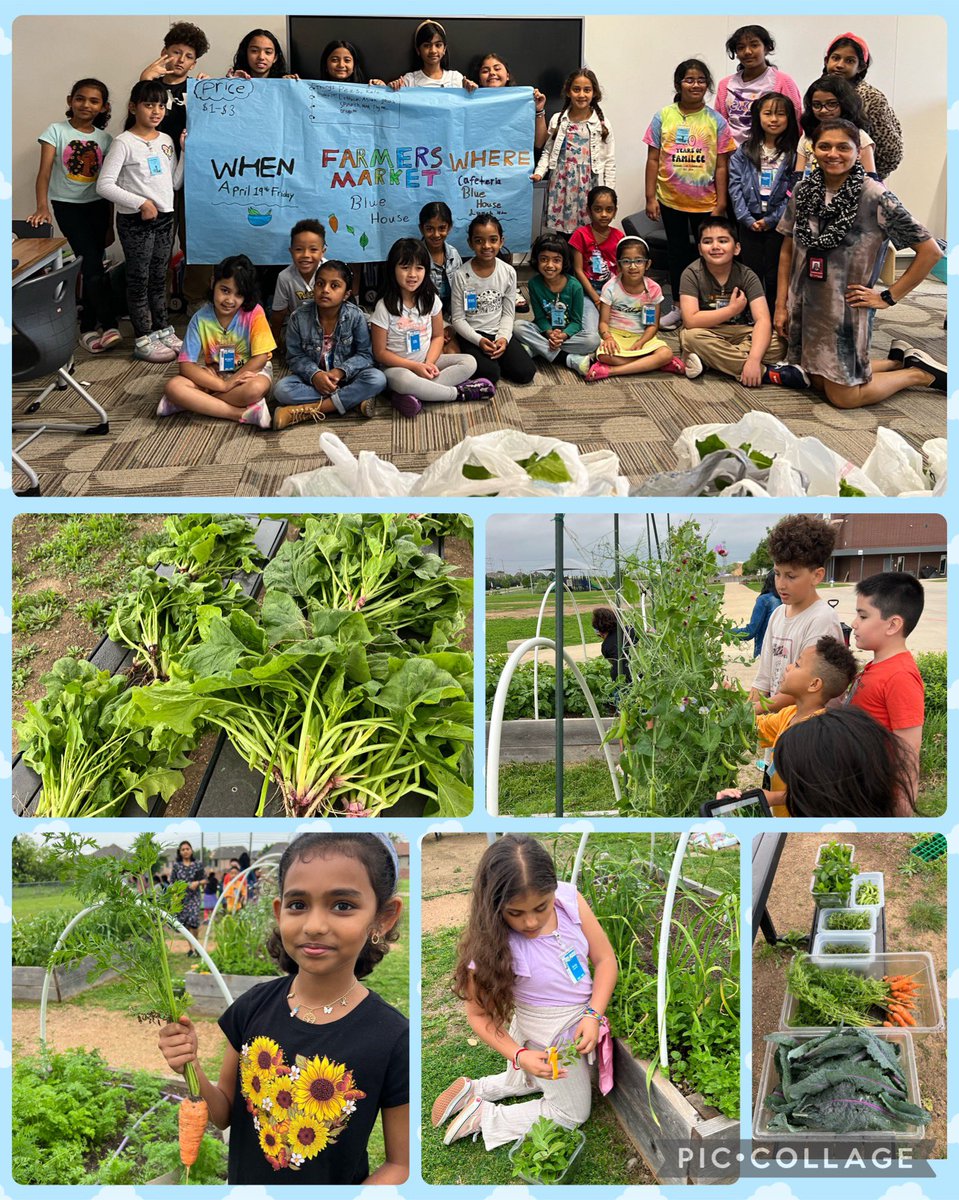 Keiko Nishino (@keikoroann) on Twitter photo Blue House learners will hold a Farmers Market during lunch tomorrow, April 19th, Friday. The market will start at the Blue House and run until items sell out. We have lots of spinach & mint. Please bring $1-3 to purchase our garden harvest! 🥬🥕<a href="/NetZeroLee/">Richard J. Lee Elementary</a> <a href="/Chandanacmm/">Chandana Mohite</a> Blue House learners will hold a Farmers Market during lunch tomorrow, April 19th, Friday. The market will start at the Blue House and run until items sell out. We have lots of spinach & mint. Please bring $1-3 to purchase our garden harvest! 🥬🥕<a href="/NetZeroLee/">Richard J. Lee Elementary</a> <a href="/Chandanacmm/">Chandana Mohite</a>