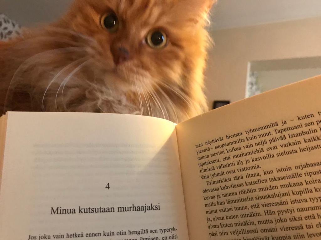 FatcatAnim's tweet photo. The softest cat i've ever know and the original inspiration for my profile avatar, pörris at age 16 sadly passed away yesterday. I wanted to post him here this cat meant alot to me and I dont want to forget him. He  was by my side 2/3:rds of my life and im going to miss the absolute fucking hell out of him.