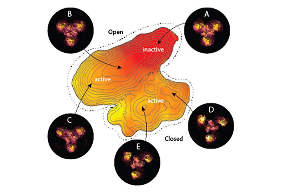 Dr. Simon Scheuring (@ScheuringLab) and his team at @WCMAnesthesia have developed a powerful, new technique to generate “movies” of changing protein structures. This technique helps understand the structural changes of biological molecules over time. bit.ly/4aZD9wk