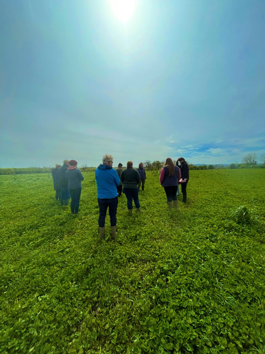 Day on farm - Agroforestry, clover leys & farm robots #organicfarming #agroecology @SoilAssociation