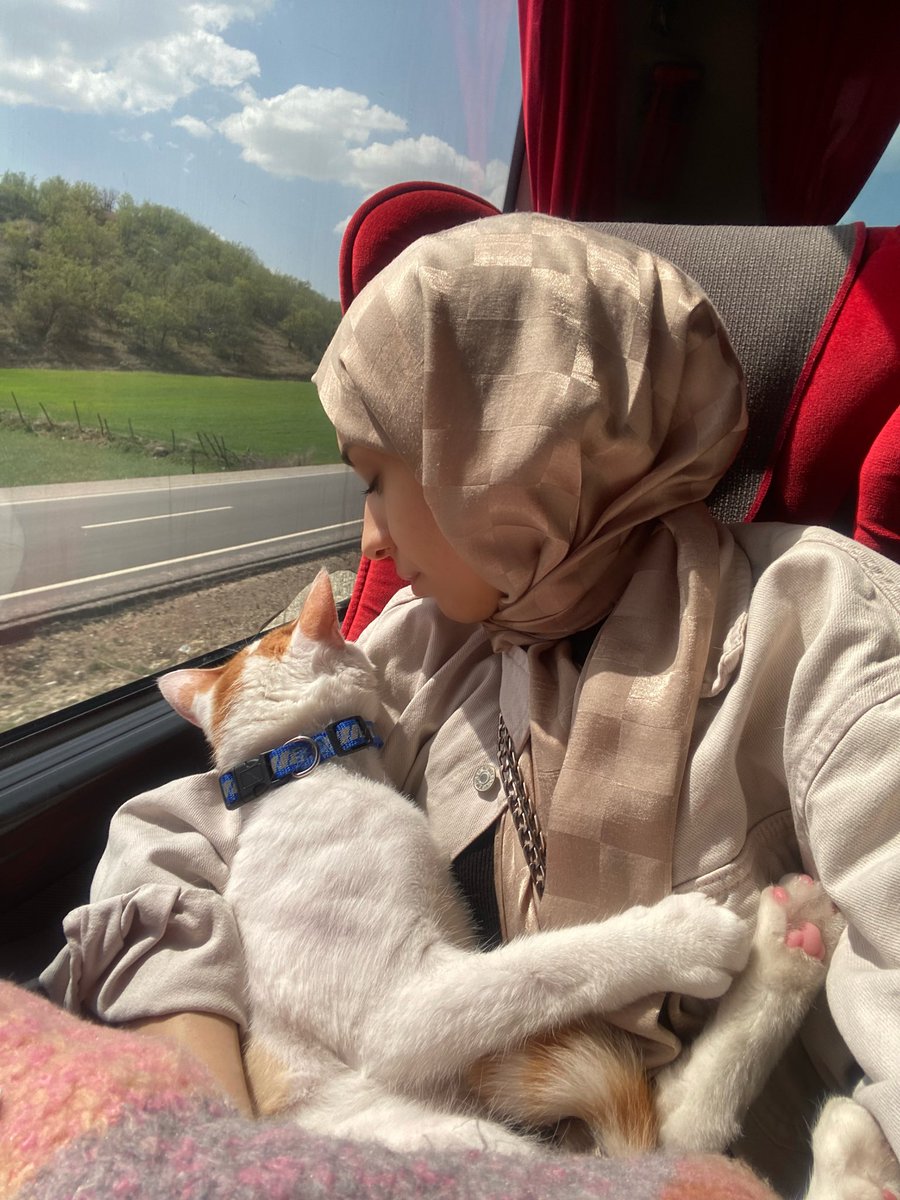 zmckrr's tweet photo. @bidurmerveee o önce kendini kurtarsın https://t.co/Nc3XBNMeKG