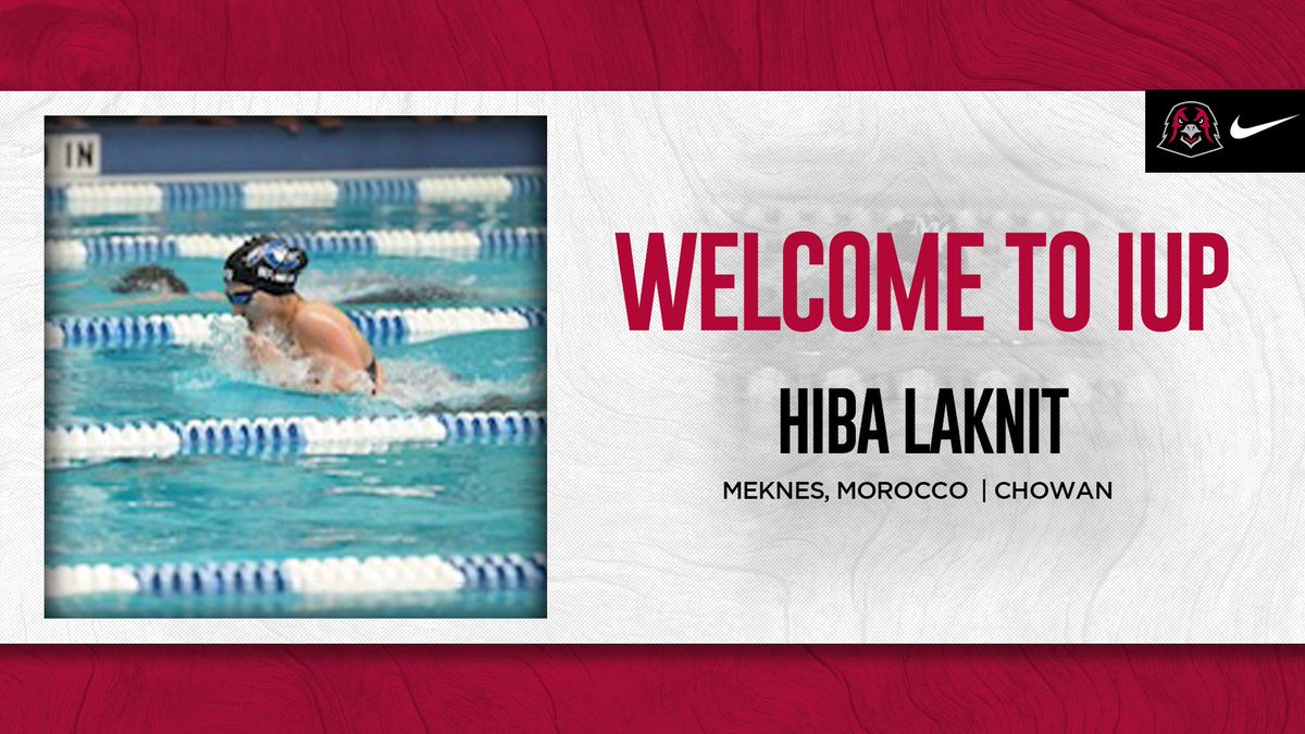IUP Swimming & Diving tweet media