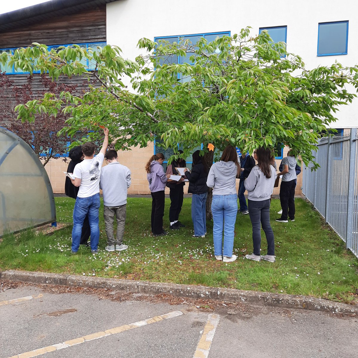 WFS_Geography's tweet photo. #WFSyear13 revising Temperate Deciduous Woodlands today - finding details hidden in the trees! https://t.co/HduloebDtL