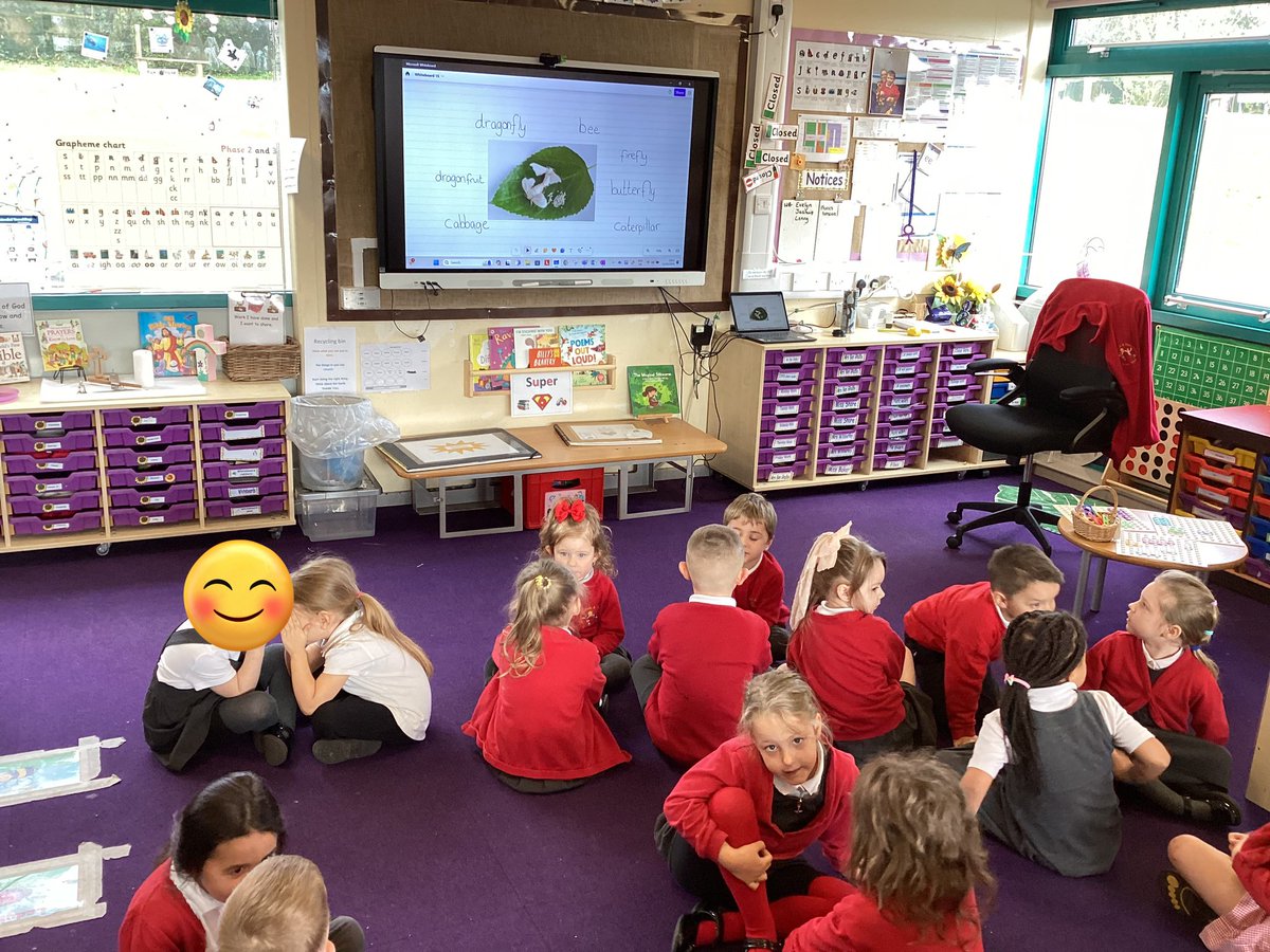 This week the children discussed what they thought these insects were. #joeysscience #joeyseyfs @stjs_staveley