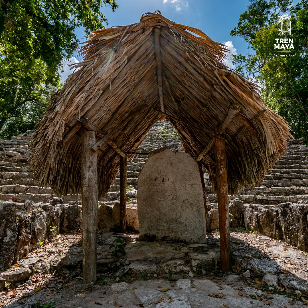 Rodeada de cinco lagunas 🌅, la ciudad de #Cobá trajo un nuevo estilo arquitectónico a su época que fue incorporado a las construcciones existentes. Su imponente pirámide de 42 metros de altura es una de las más altas de la civilización Maya. #VisitaQuintanaRoo