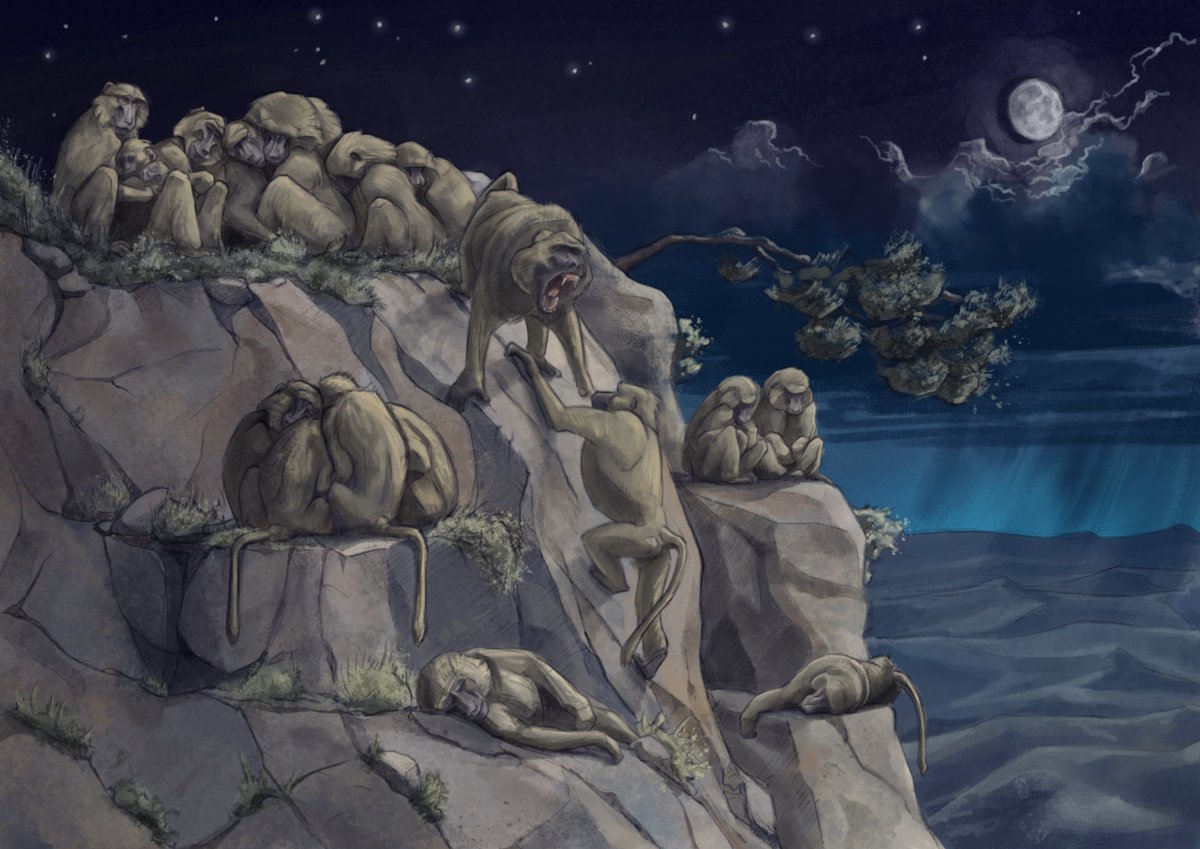 This is the final version of the baboons illustration. It was challenging to do a night scene! #wildlifeart #art #primates #landscape
