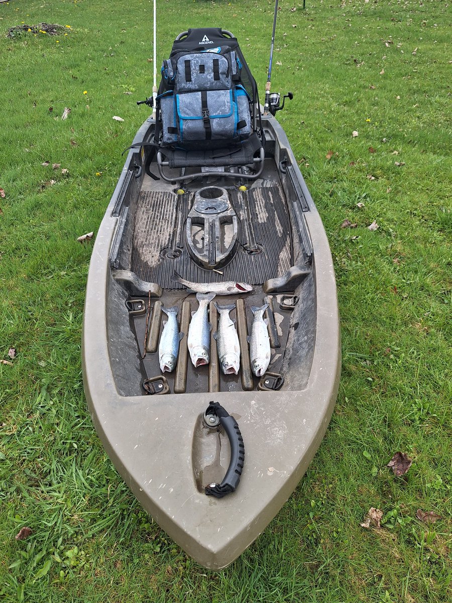 FMO2019's tweet photo. A rainy day fishing high! #fmo #final_moment_outdoors #trout #troutfishing #troutseason  #rippinglips #rainbowtroutfishing  #castmaster #kistlerrods #lunkerhunt #abugarcia #spiderwire #troutmagnet #orvis #reddingtongear #fishingpa #fishingtrip https://t.co/40Yl404UzB