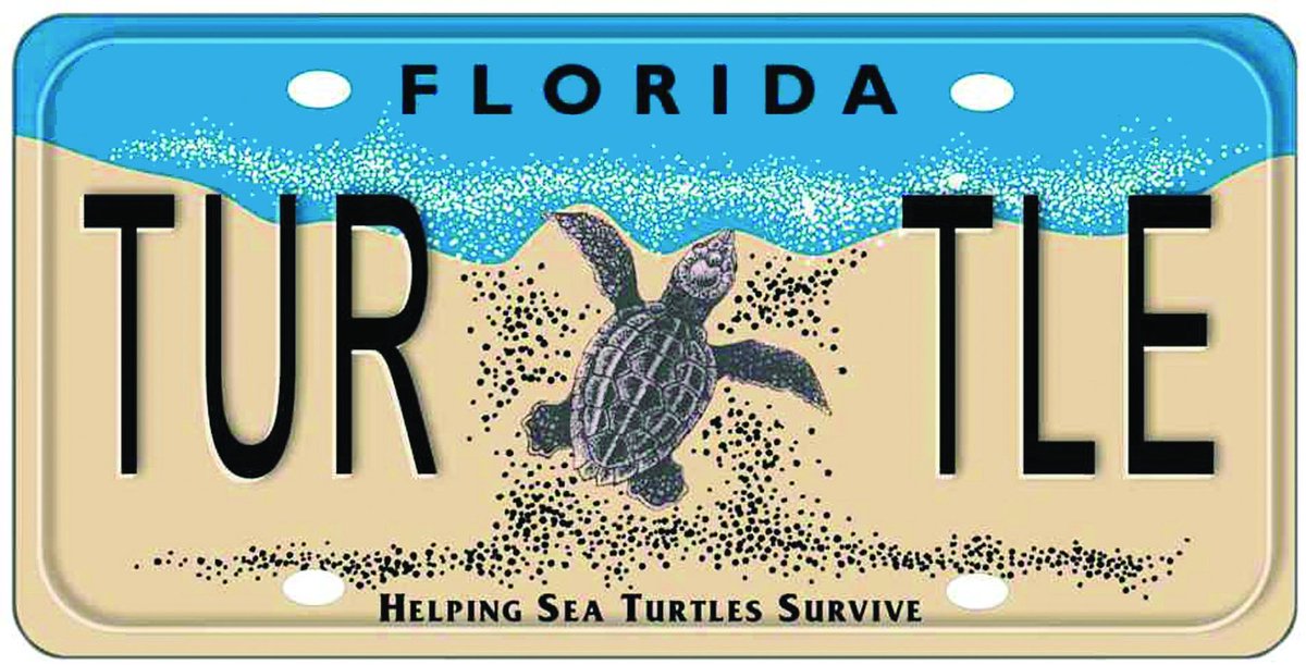 Excited to announce that STC's lighting team was awarded funding from the Sea Turtle Grants Program to help address important barriers to reducing problematic beachfront lighting in Florida! The Sea Turtle Grants Program is funded from the sale of FL's Sea Turtle License Plate.