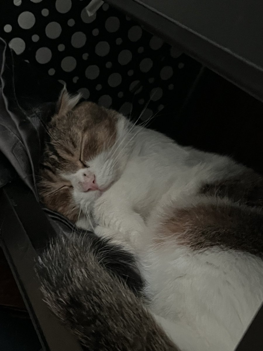 ละทำไมต้องนอนน่ารักขนาดนี้อะม่อน😩😩