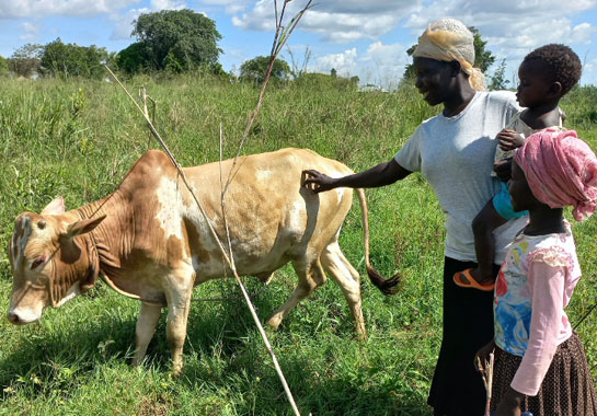 Doreen & Peter's journey with OSP in Uganda is a testament to the impact of biofortification and sustainable farming. Initiatives like HarvestPlus’ MENU project create a healthier, more resilient world for generations to come. Together, we can nourish communities and cultivate