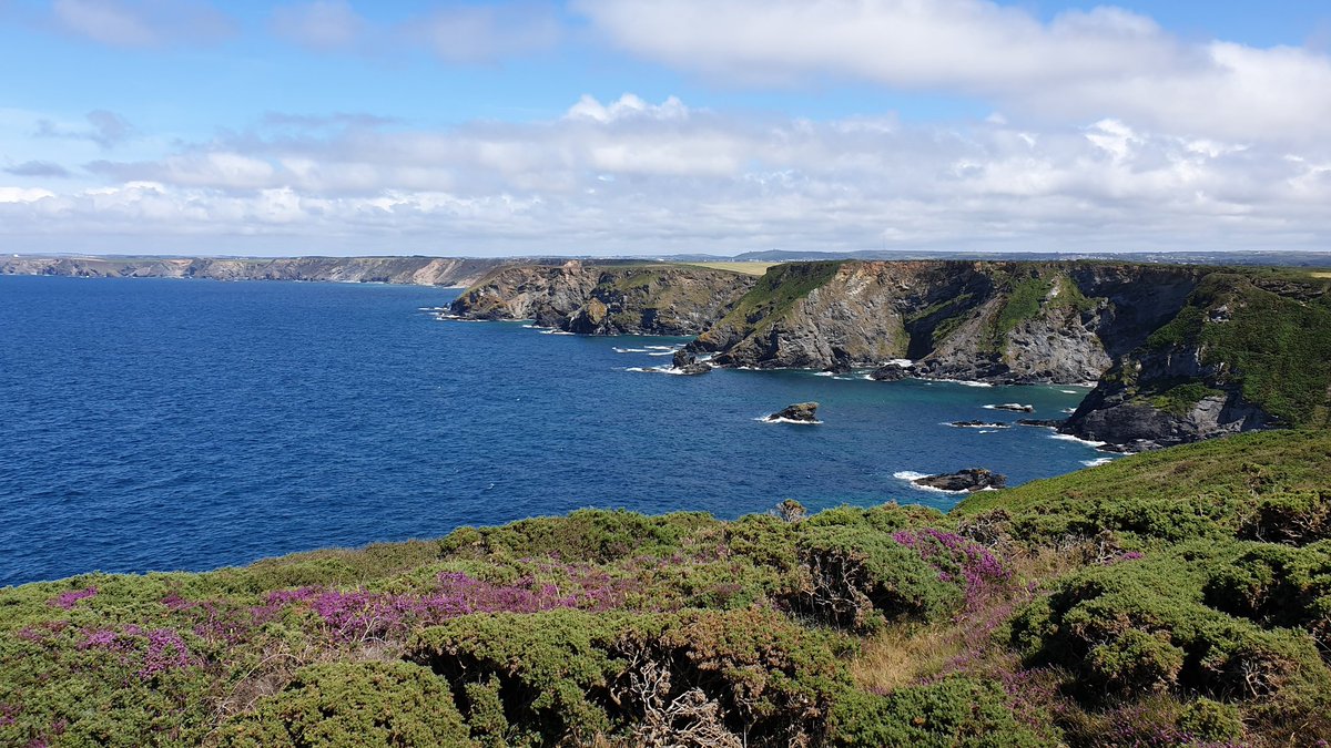 Want to know more about the Cornwall and Isles of Scilly Local Nature Recovery Strategy? Interested in how we are mapping opportunities for habitat creation? A recording of our recent Mapping Methods Webinar with @CornwallCouncil is now available at vimeo.com/935772552