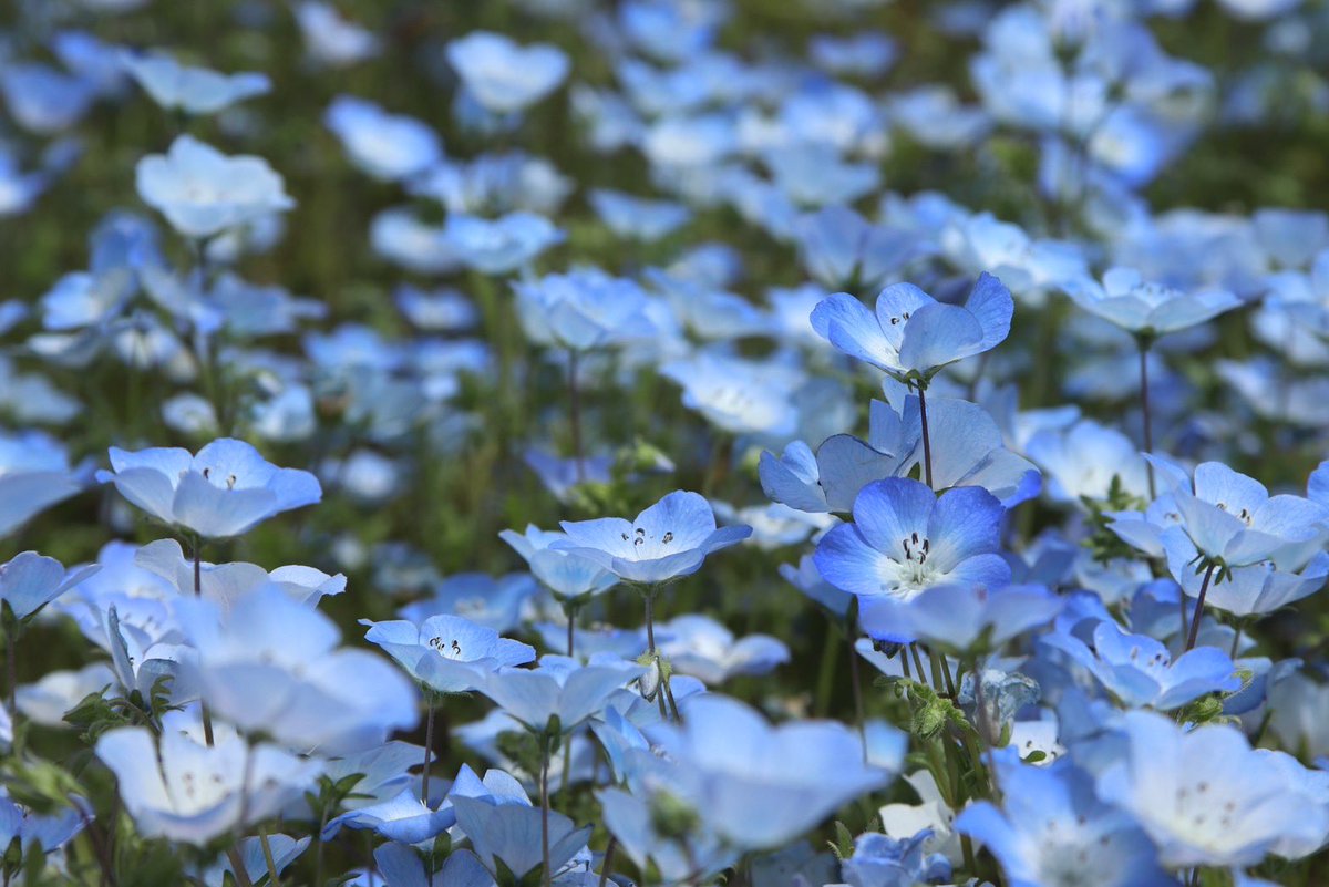 りつこ tweet media