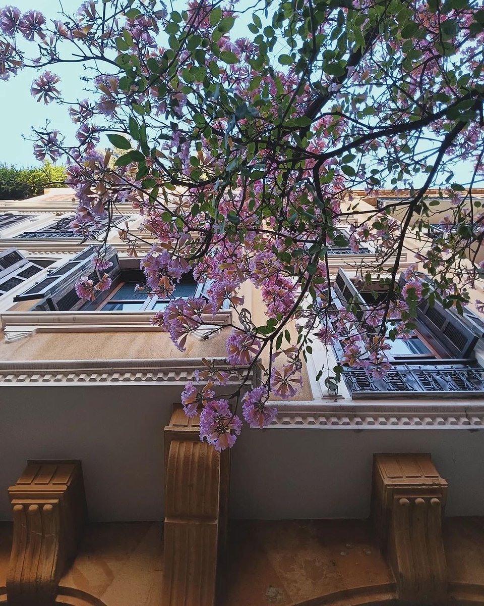 Beautiful Spring 🌸🌸
Beautiful Beirut 🇱🇧🫶
#architecturephotography #NaturePhotography #naturelovers #architecture_capture #SpringVibes #ThePhotoHour #StormHour