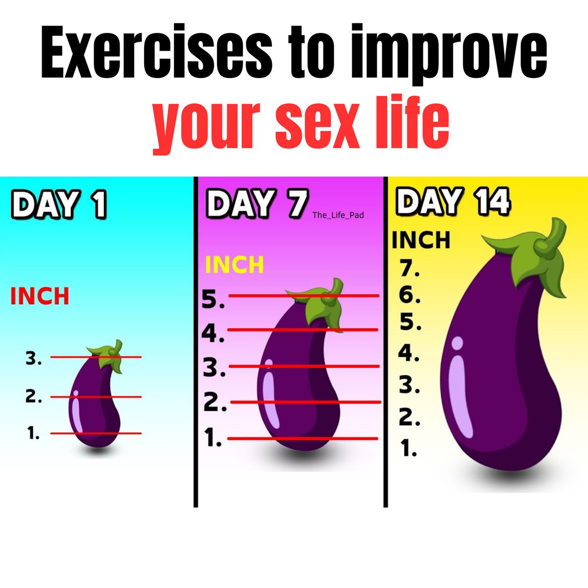 5 Exercises to improve your sex life in 14 days