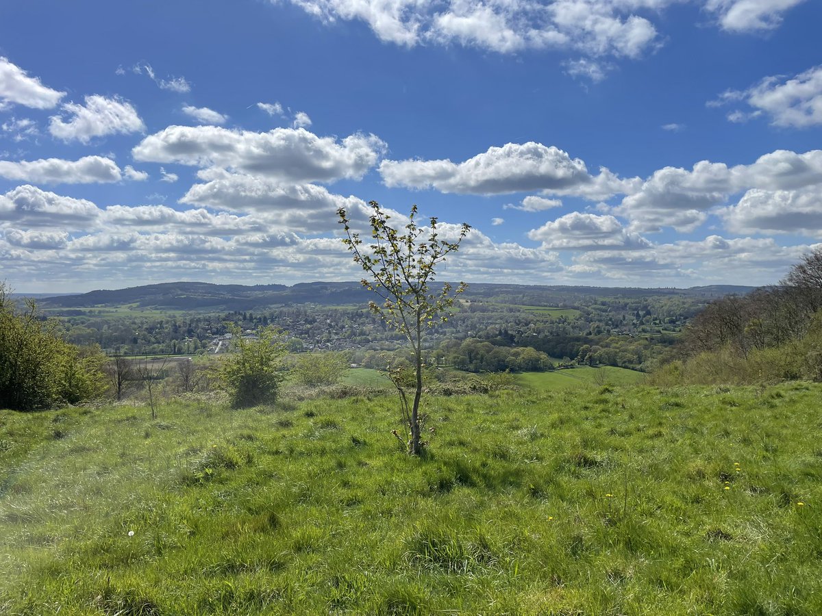 The FoodFloat local collection & delivery round on Wed/Thurs took in some beautiful Surrey countryside. Our overall average food-miles are <18 miles, done in a fully electric van. Lots of collaboration with local producers & growers. #LoveLocal #ProperLocal