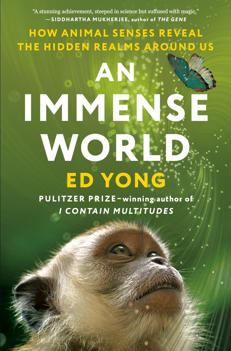 ARVOinfo's tweet photo. Join Pulitzer Prize winner/bestselling author @edyong209 in exploring the realm of animal perception at the @ARVOinfo /Alcon Opening Keynote (May 5, Seattle). #ARVO2024 attendees will have a chance to take home a signed copy of his book, An Immense World. https://t.co/8V3Dftwdsz https://t.co/mSSQTlOiCA