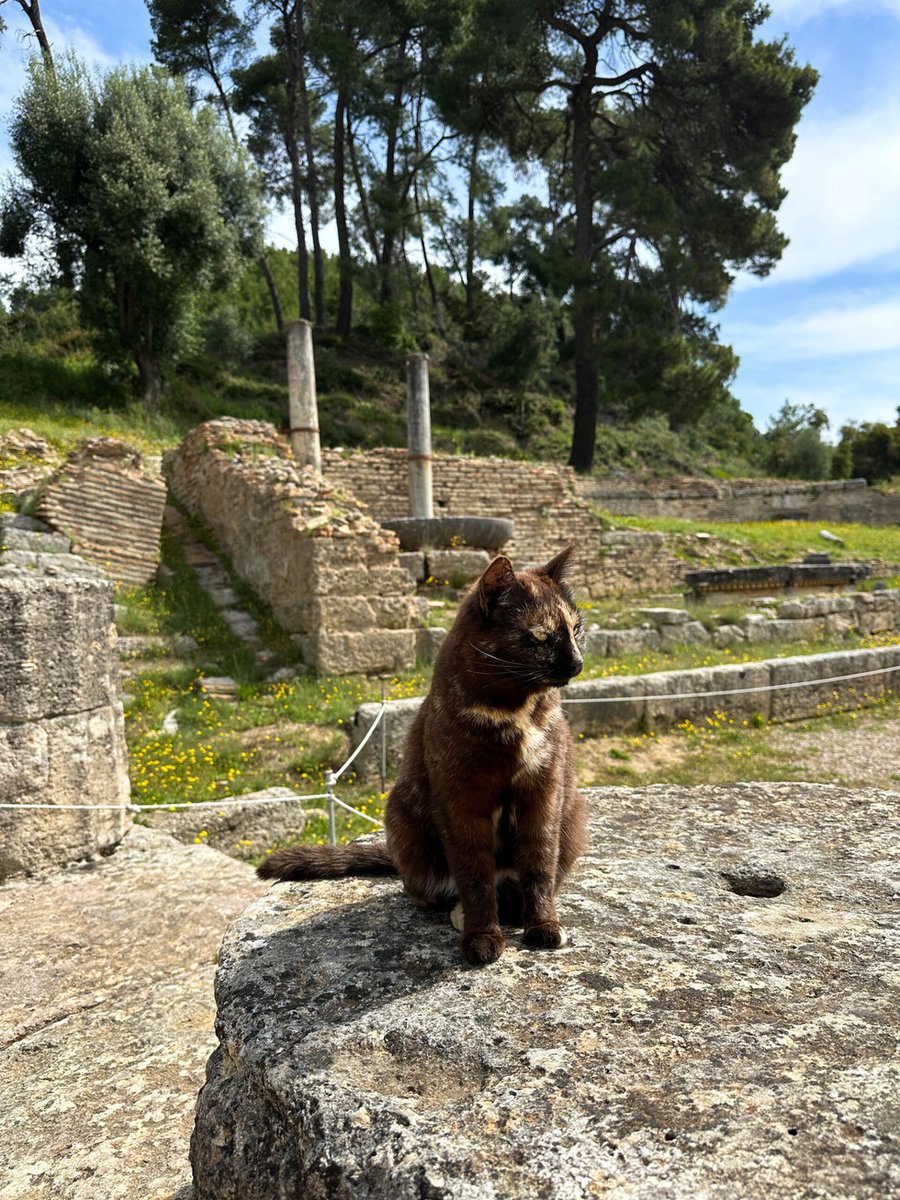 👣Walking through history at Olympia has been a humbling experience. To tread the same paths as ancient athletes did... I'm at a loss for words. 🏺#WalkingThroughHistory #OlympiaTales Read more 👉 lttr.ai/ARl7r