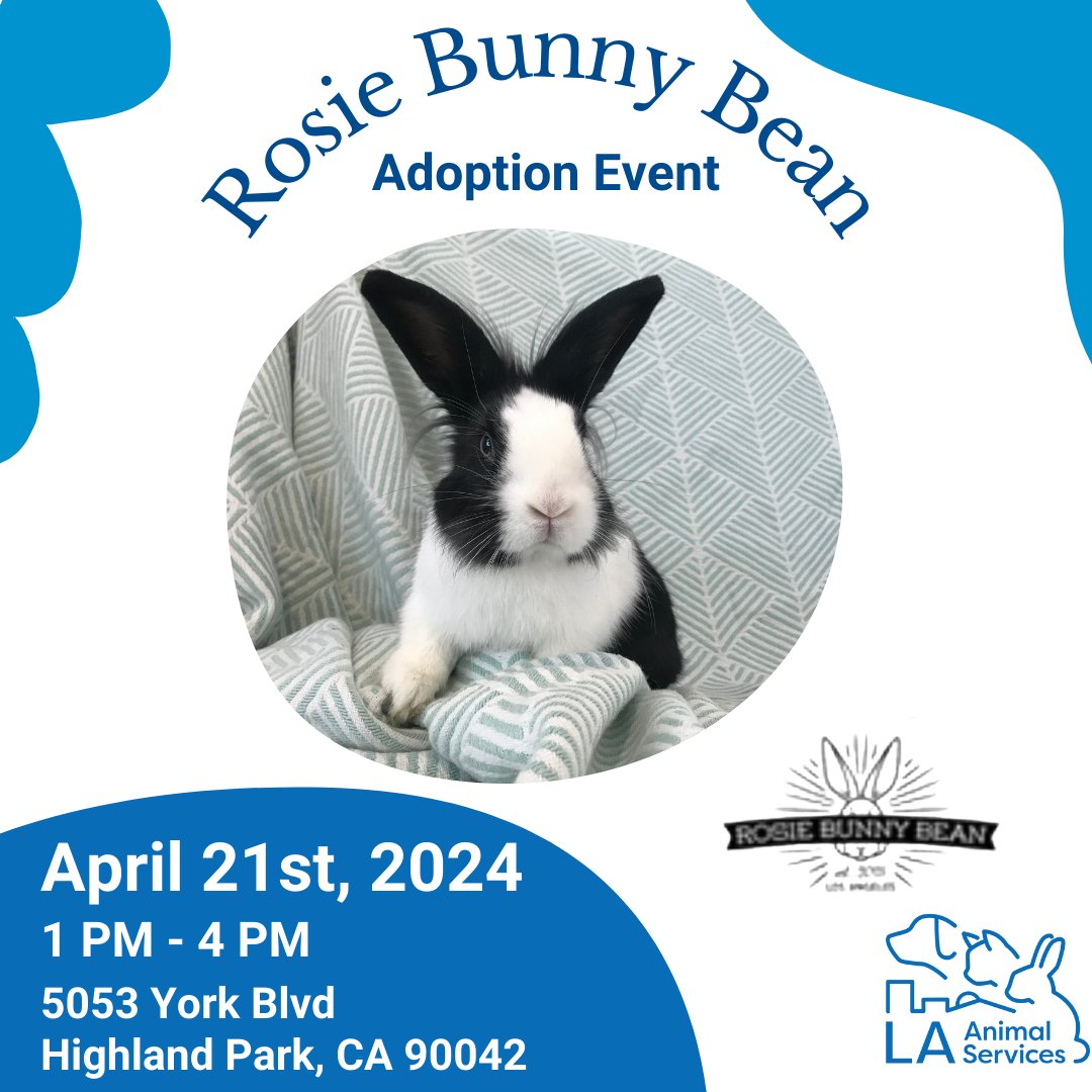 LACityPets's tweet photo. Join LA Animal Services this Sunday, April 21st, from 1PM - 4PM for a Rosie Bunny Bean Mobile Pet Adoption Event for our rabbits! 🐰 #lacitypets #adopt #rabbitsofLA https://t.co/XDI2cMUU8i