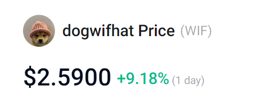 SolanaFloor tweet media