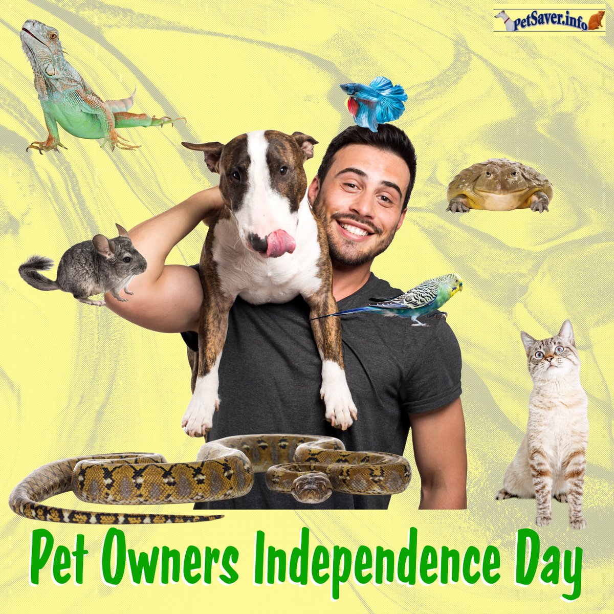 Today is Pet Owners Independence Day! Celebrate the day with a walk with your dog, a couple chin scratches with your cat, an extra shake of food for the fish, some special bugs for your lizard, etc. #petsaver #welovepets #PetOwnersIndependenceDay #pets petsaver.info