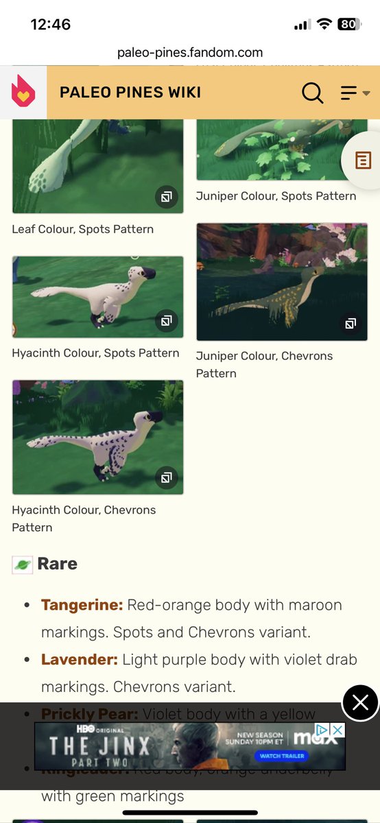 MayorAlyx's tweet photo. Anyone who’s playing #PaleoPines -can you tell me why this little guy is broken?!😅 #PaleoPinesSwitch #PaleoPinesHelp @PaleoPines https://t.co/fpDGyVWXil