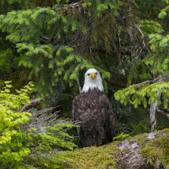 PeterStubbins tweet media