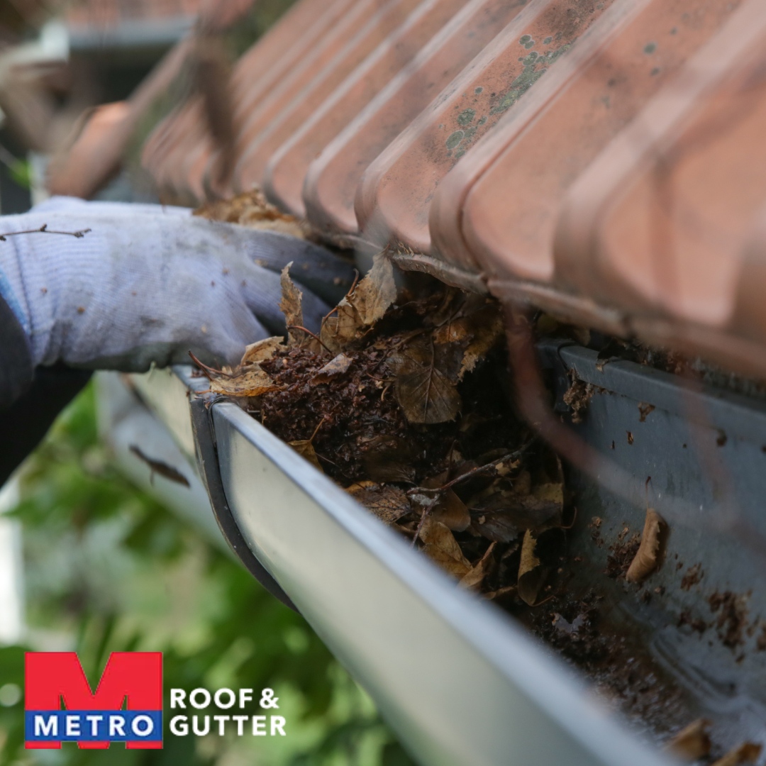 🚫🍂 Don't risk it! Discover why cleaning your own gutters might not be the best idea in our latest blog post.

Read more: metrogutter.com/dont-risk-it-h…
-
#GutterCleaning #LeaveItToThePros #HomeMaintenance