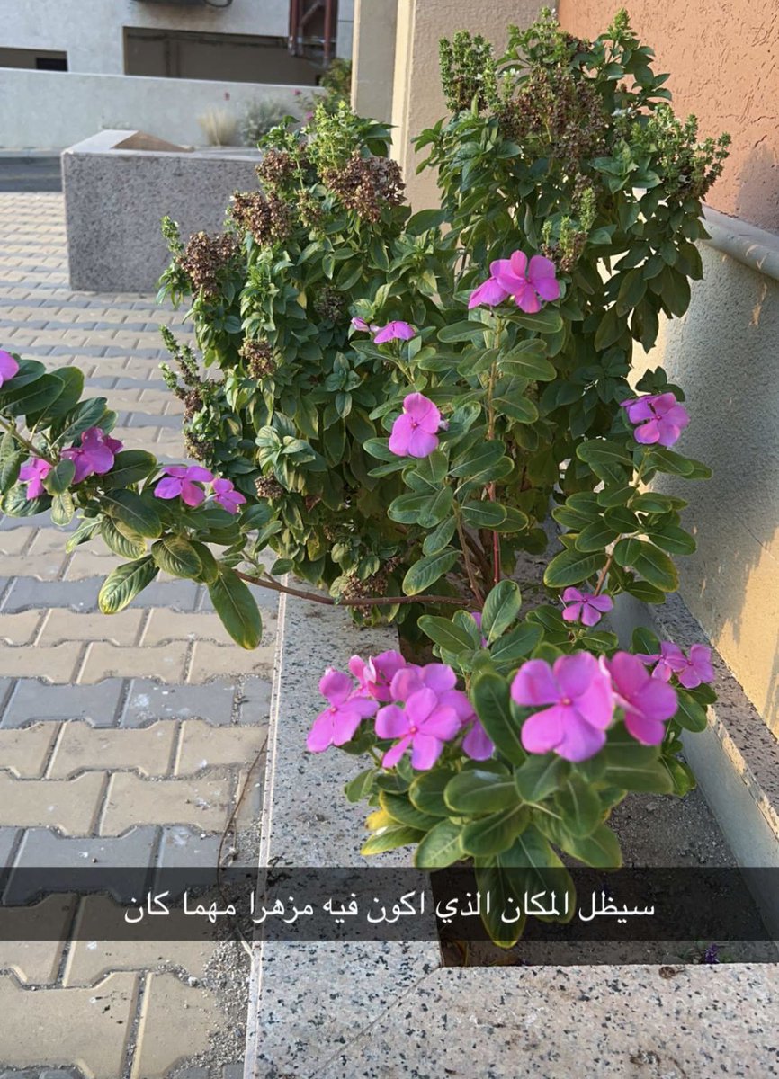 الهام الروح tweet media