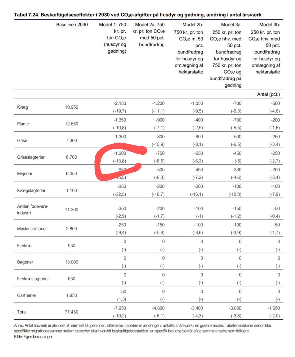 Martin Collignon tweet media