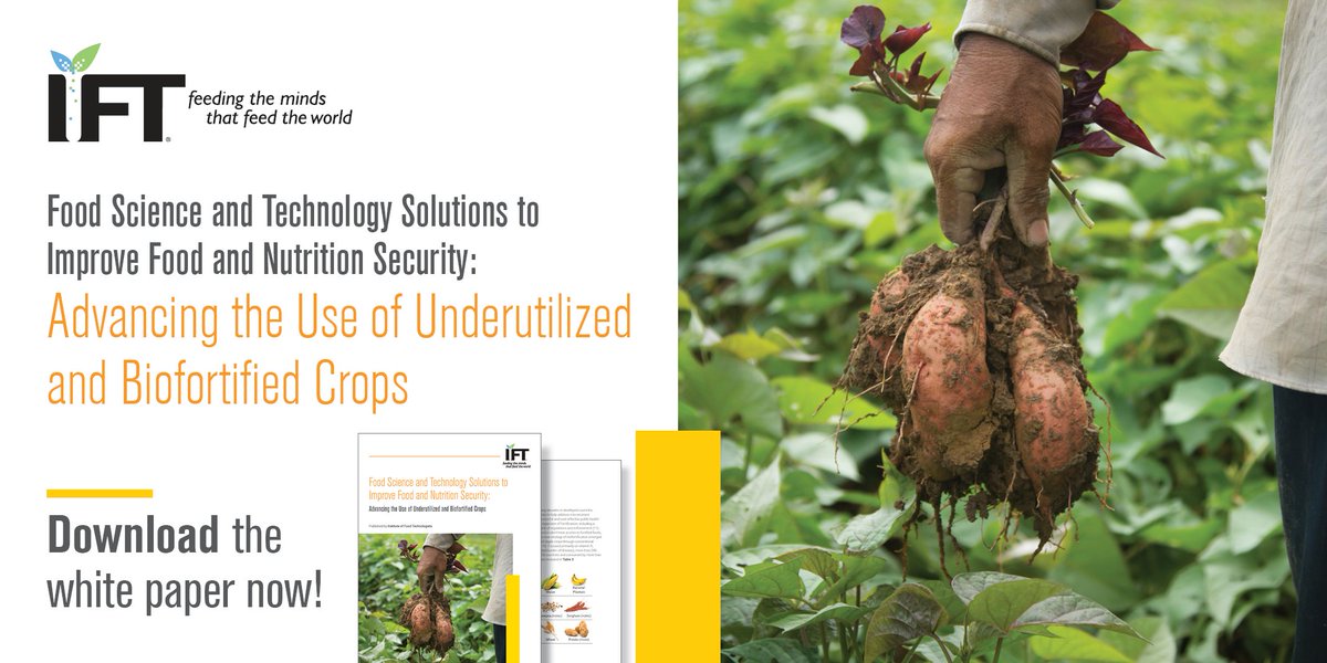 A new IFT white paper highlights two potential solutions to the #FoodSecurity crisis: underutilized and biofortified crops. Download it now to read about the benefits, challenges, and opportunities surrounding these highly nutritious crops: hubs.la/Q02tfBLx0