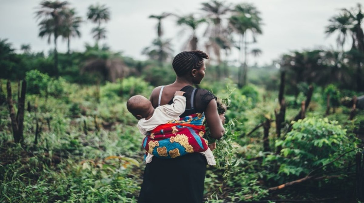 Learn more about the @NOVAFRICA project 'Reducing Maternal and Infant Mortality in Guinea Bissau'. This project seeks to combat maternal and infant mortality through a novel community health campaign including traditional healers. More:🔗 bit.ly/novafrica_proj… #EconTwitter