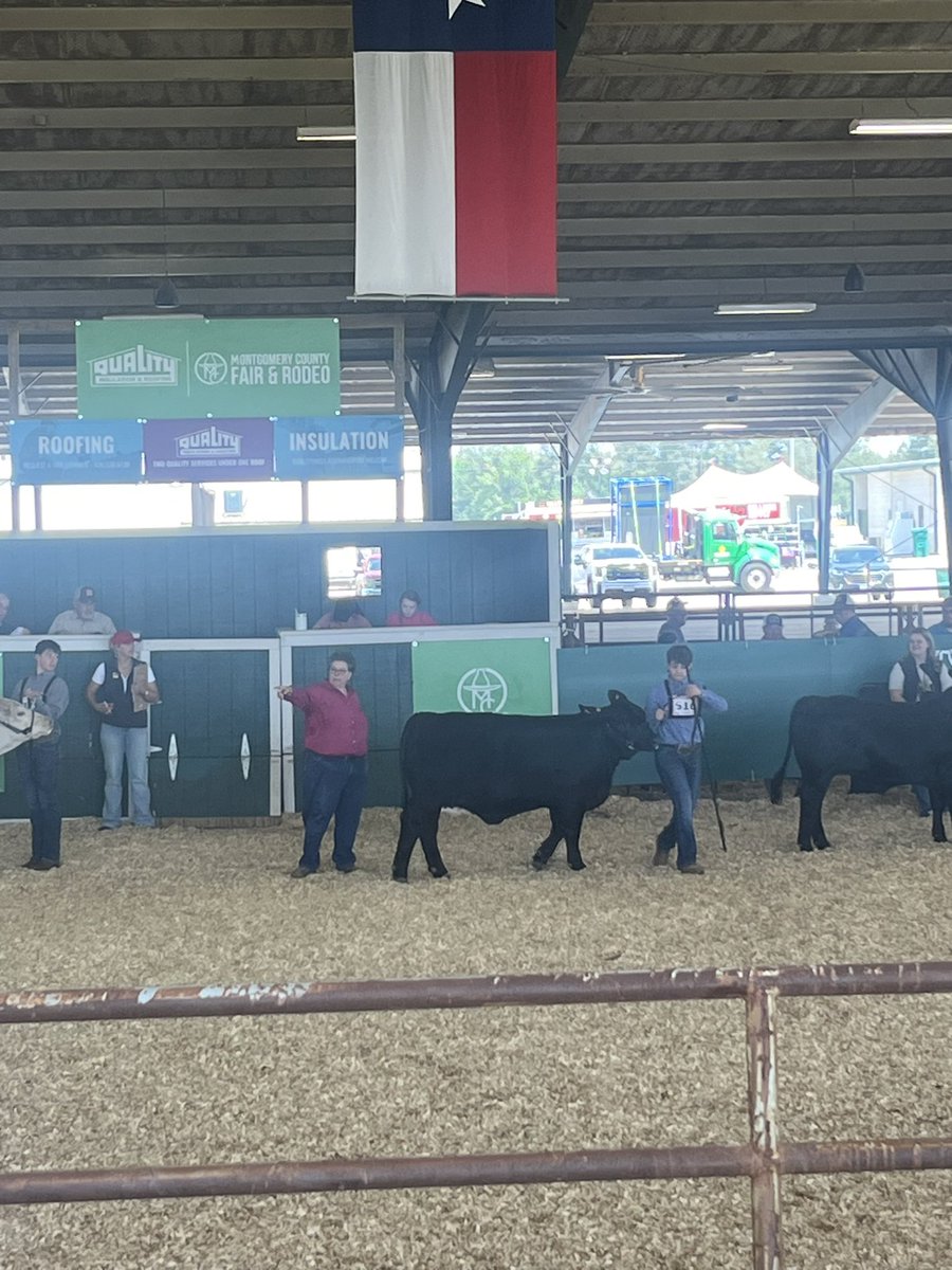 willis_ffa's tweet photo. CONGRATULATIONS to our 2024 Replacement Heifer Grand Champion Hayes Hoegemeyer!!! So proud of you! 

Joined by Hayes in the grand drive was Sara-Beth Cathey and Levi Risner 5th overall. Great show! 

@WillisISD_CTE @WillisSchools @Willis_HS_TX @WISDBrabham https://t.co/UJfdvYHFb4