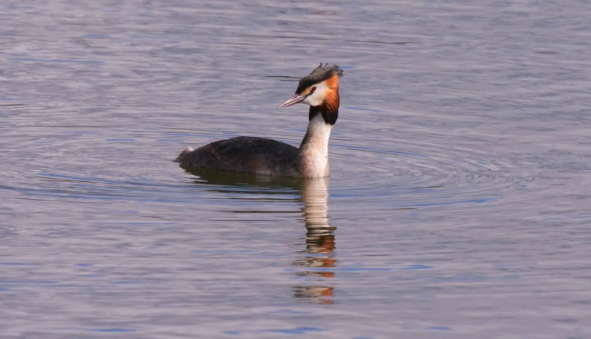 #uptonwarren on 18th March2024