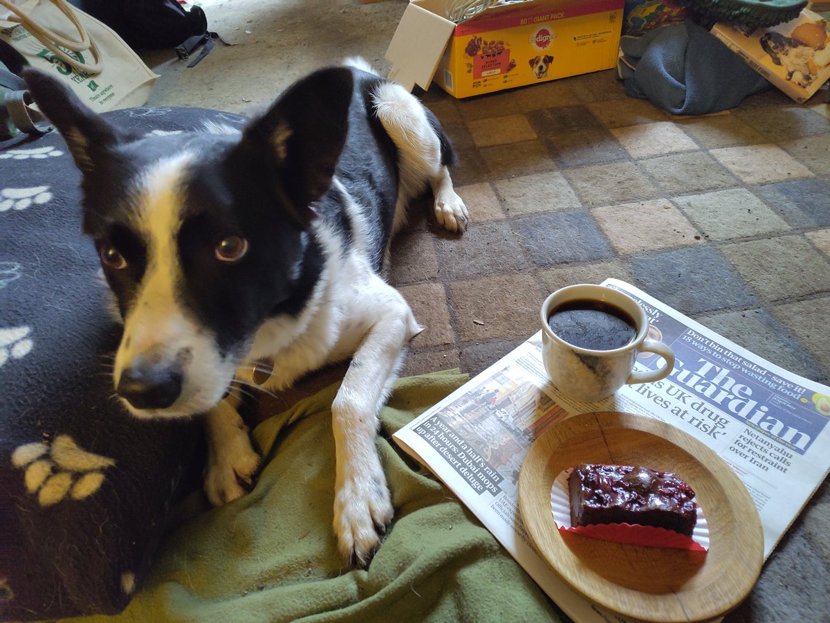 CoopGillian's tweet photo. Sammy and I have been thinking about my lovely @KieronL today - nine years on. Marked with Guardian, coffee, cake and cuddles https://t.co/GtoT2B74AO