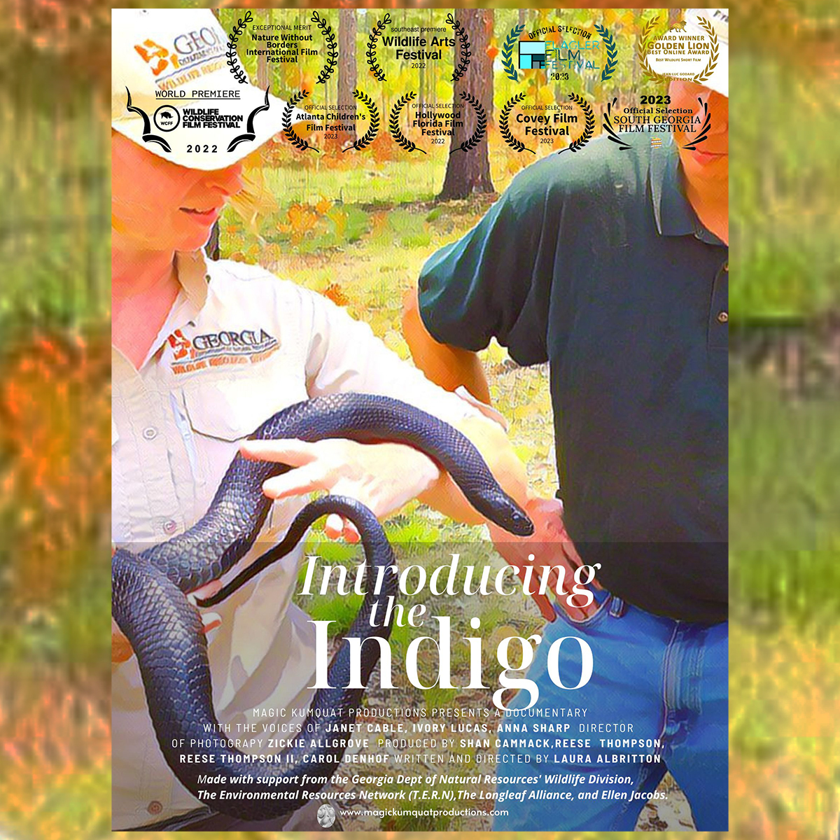 The Eastern Indigo Snake is an icon of the southern longleaf pine forest and is the longest native snake in the US.  Learn more about it in this short film for young people, produced by our friends at Georgia DNR:

youtube.com/watch?v=45NqIO…